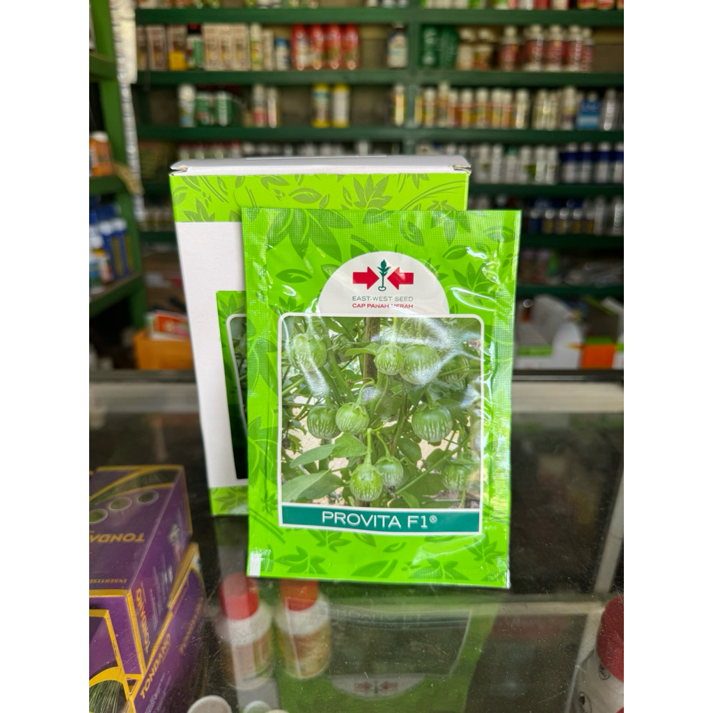 PROVITA F1 1100 Butir Terong Lalap Cap Panah Merah