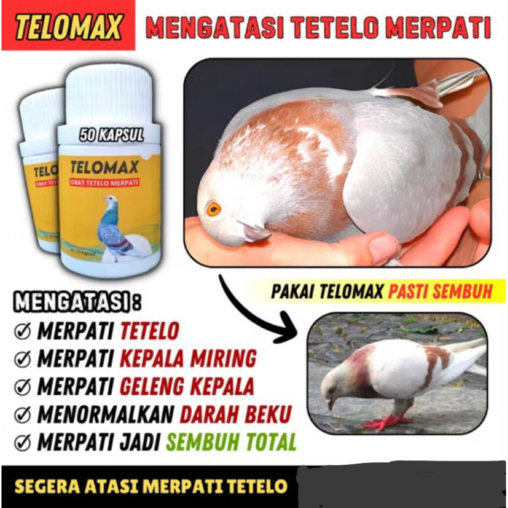 TETELO,Obat Tetelo Merpati 50 Butir Jamu Tetelo Merpati JOSS