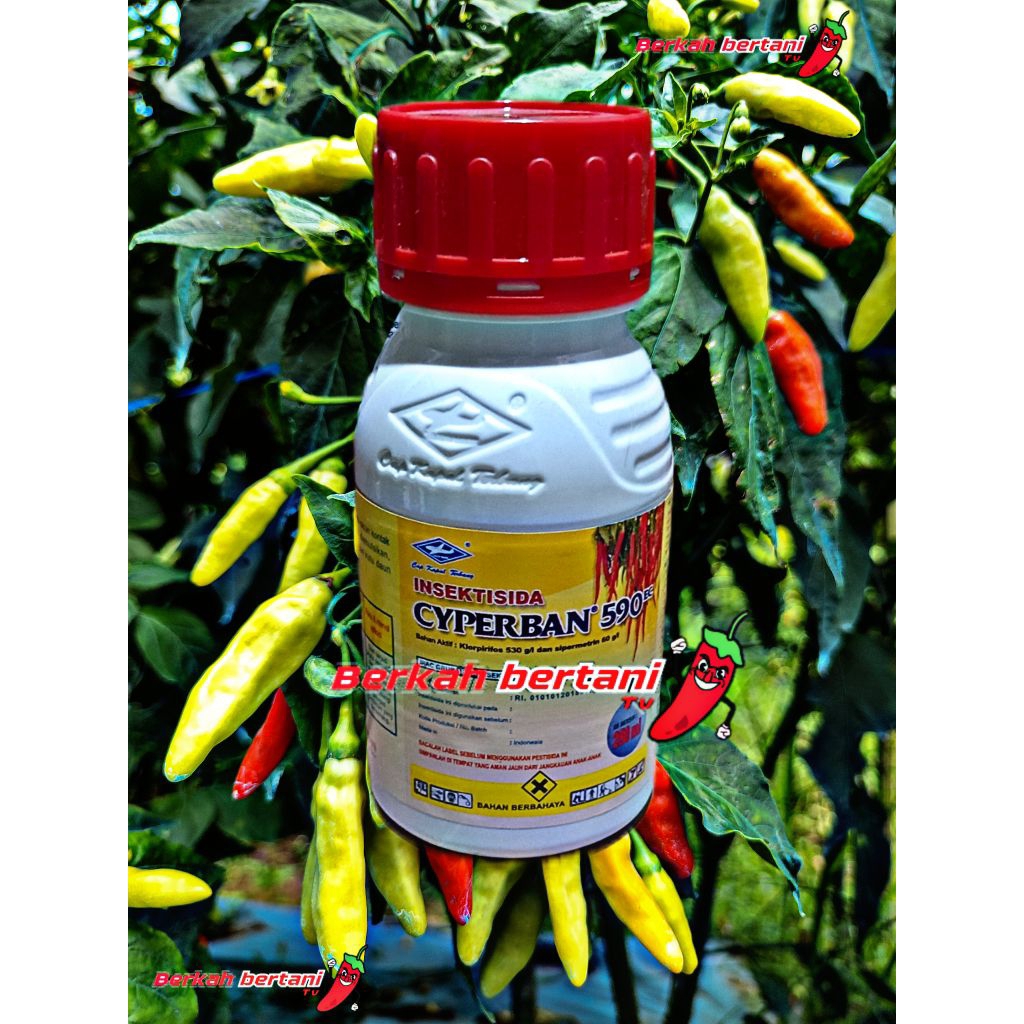 Insektisida Cyperban 590EC 250ml