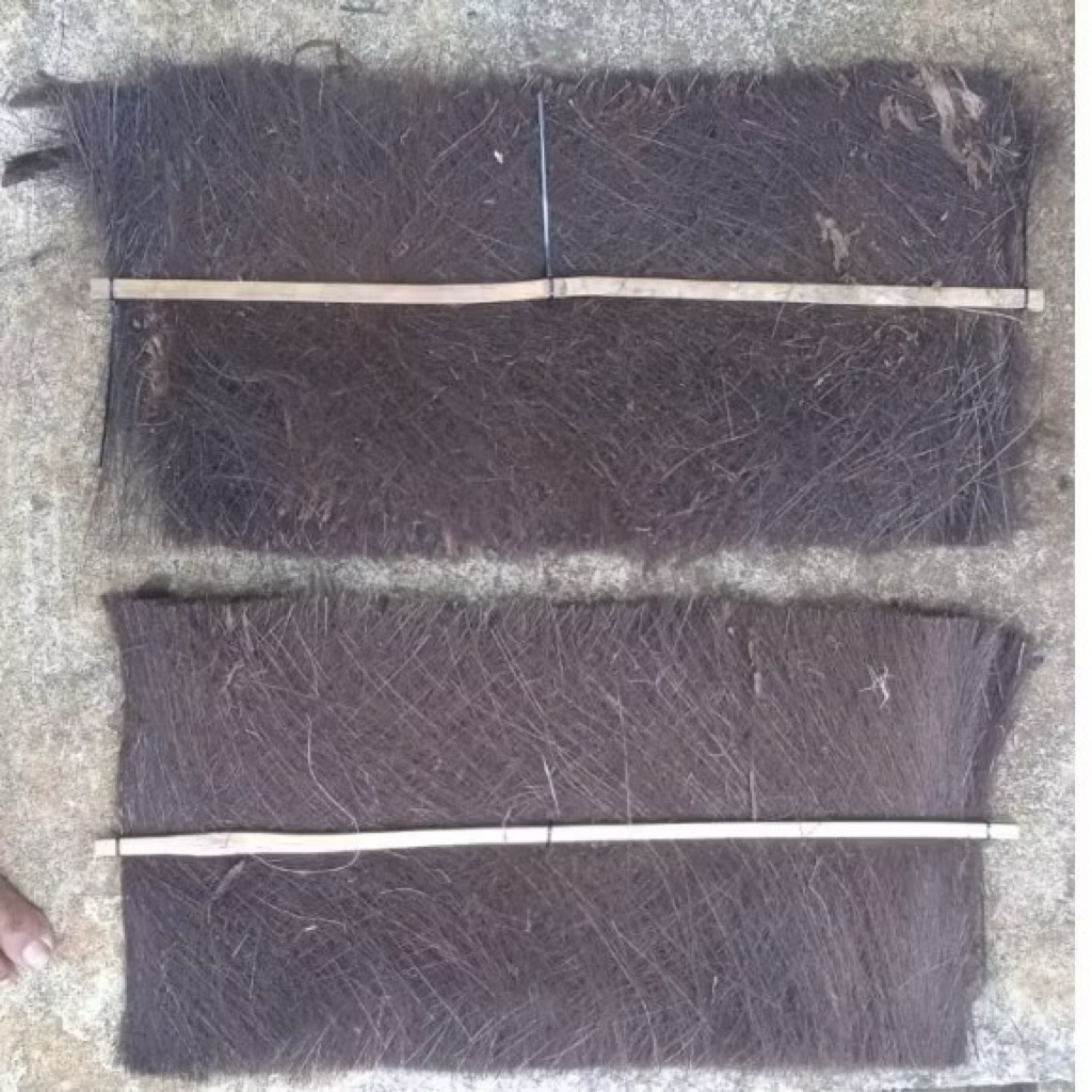 Kakaban Ijuk Kakaban Media Telur panjang 1 meter