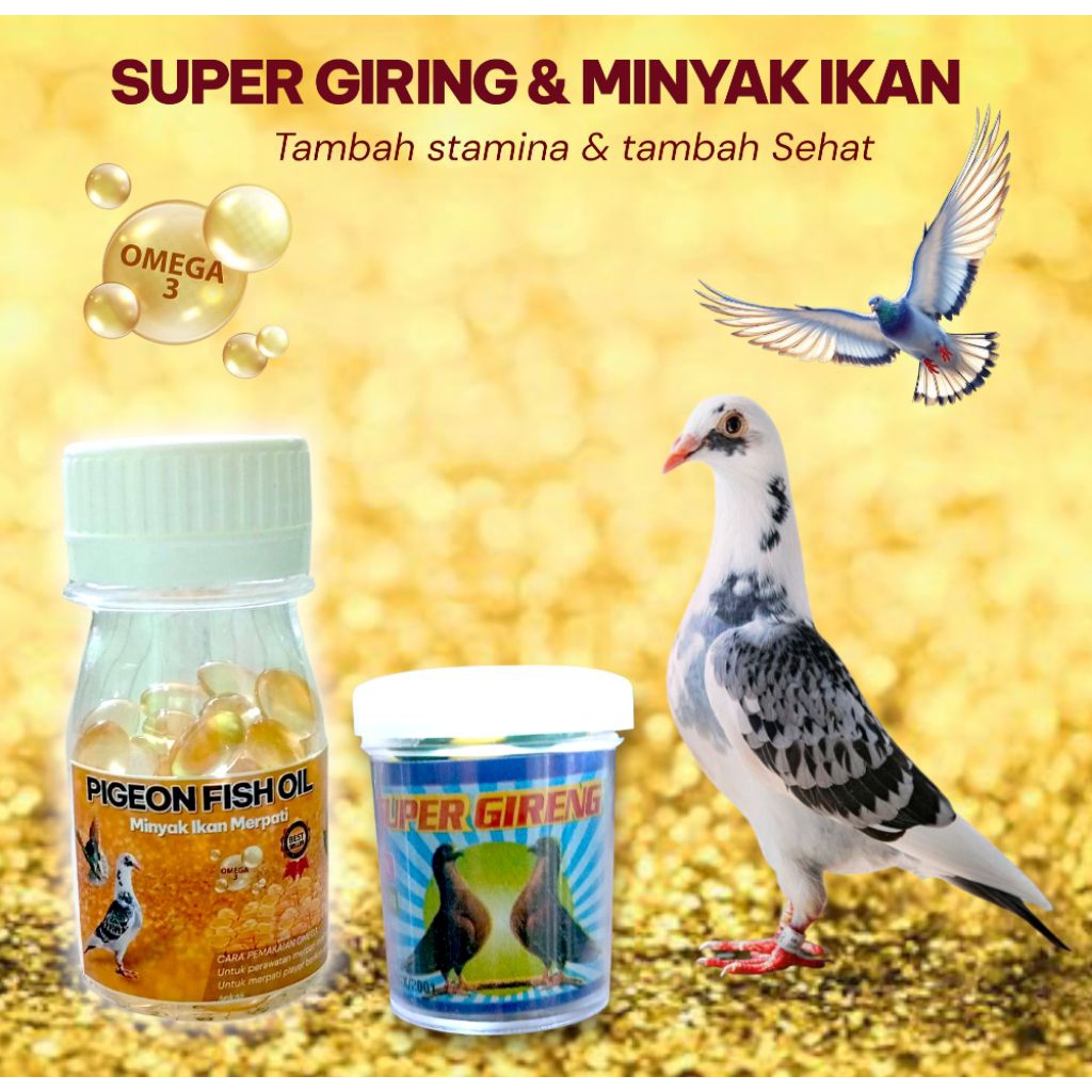 Super Giring Merpati Obat Burung Dara + Minyak Ikan merpati | Jamu burung dara