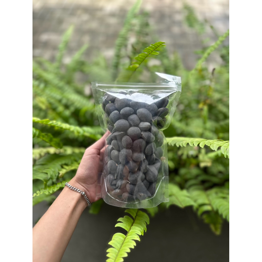 Buah Asam kranji | Asem Keranji | Original dan Organik