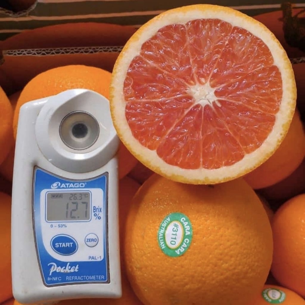 [RESTOCK!! KIRIM INSTAN/SAMEDAY] Sunkist Navel Pr*mium RRC Manis Seger Banyak Air Enak