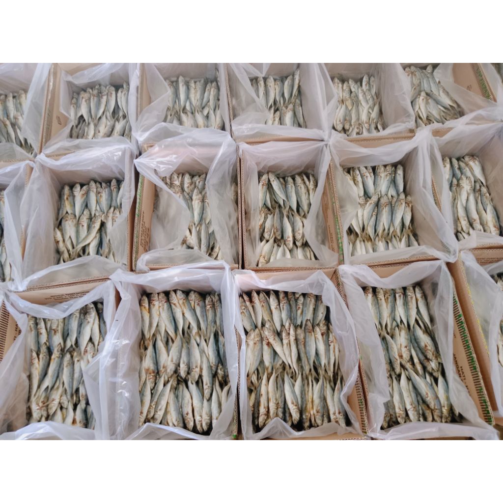 IKAN ASIN PEDA LAYANG 100GRAM PREMIUM IKAN PEDA LAYANG KHAS TEGAL KOTA BAHARI