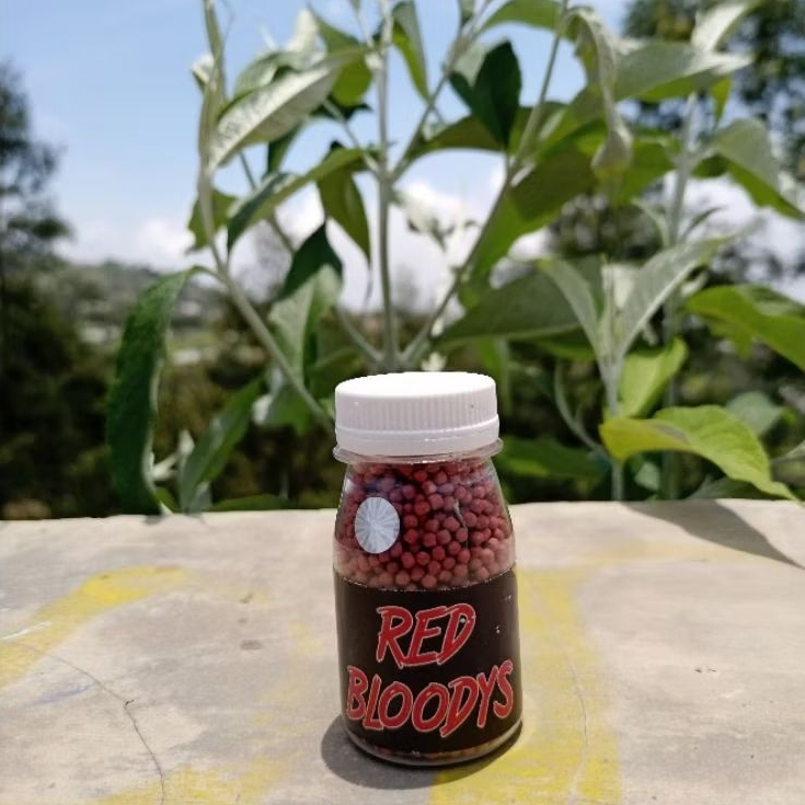 Pelet Red Bloodys Pakan Ikan Channa Red Maru, Limbata, Auranti, Stewarti, Andrao, Barca, Pulchra, As