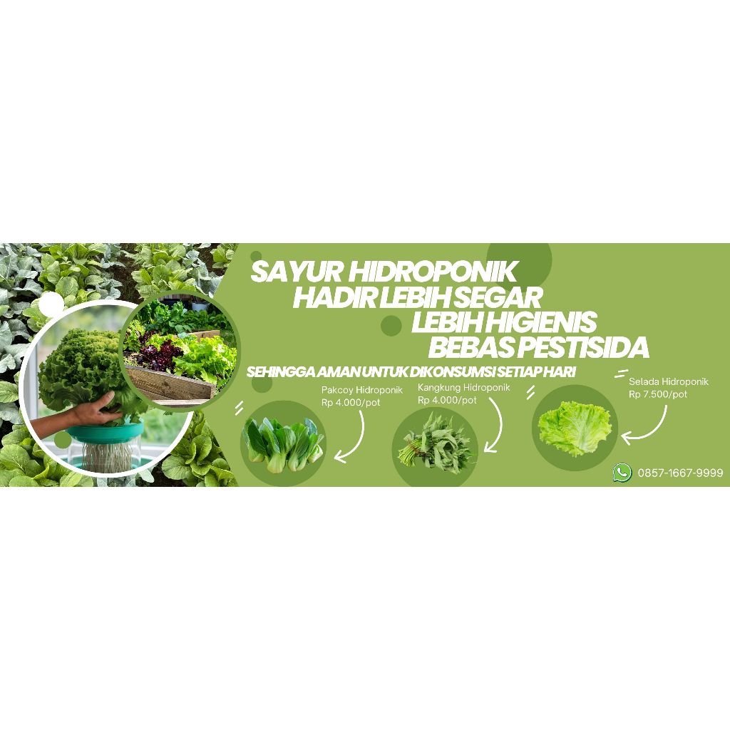 Sayur Hidroponik