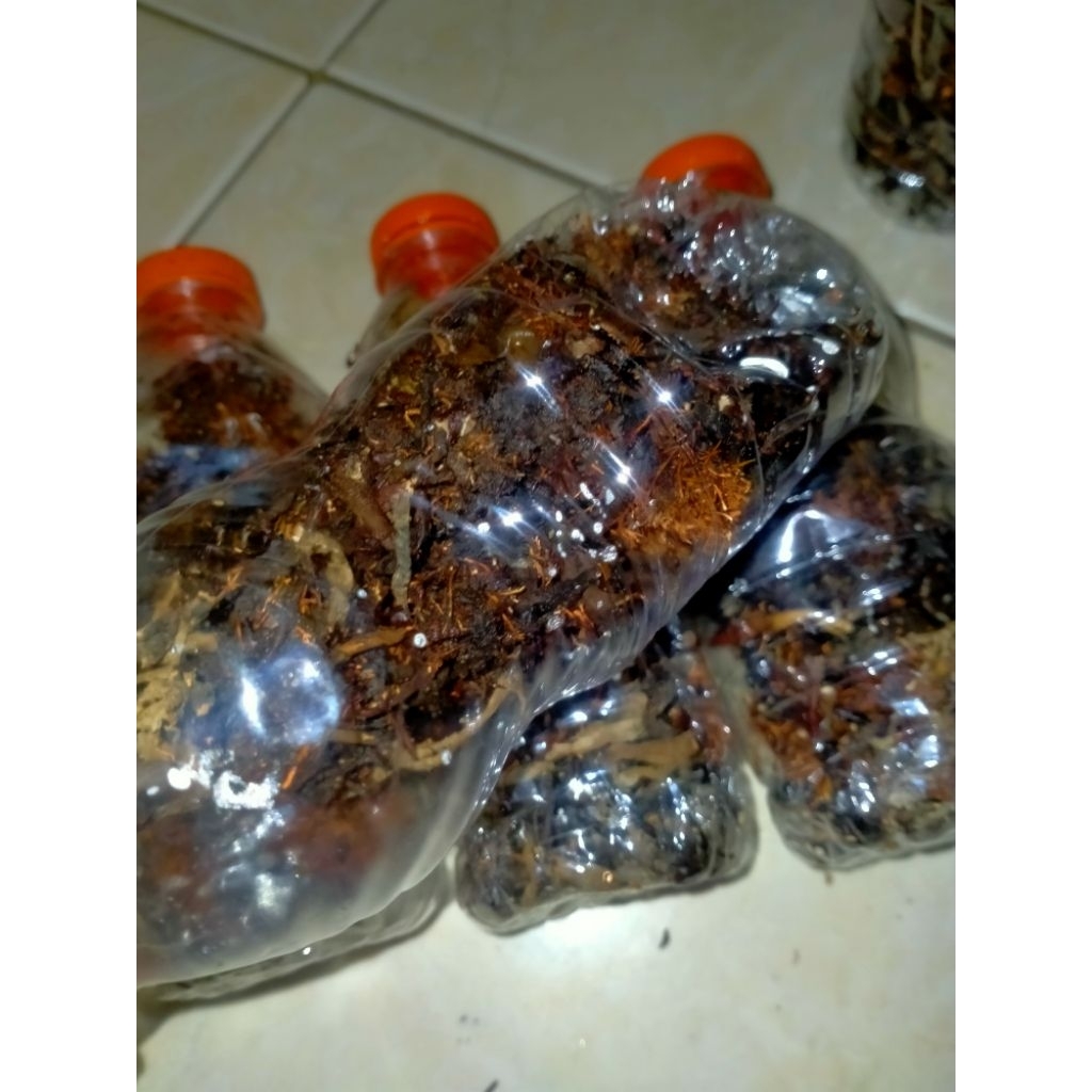 biang jakaba super jamur keberuntungan abadi  full 350 ml tanpa air spora jakaba pupuk termurah