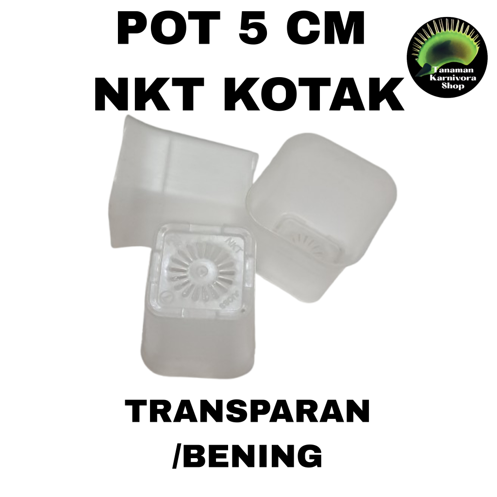POT BUNGA/POT KOTAK 5 CM/POT NKT JUOSS TRANSPARAN BENING/ POT HIDROPONIK TANAMAN HIAS/ POT TANAMAN K