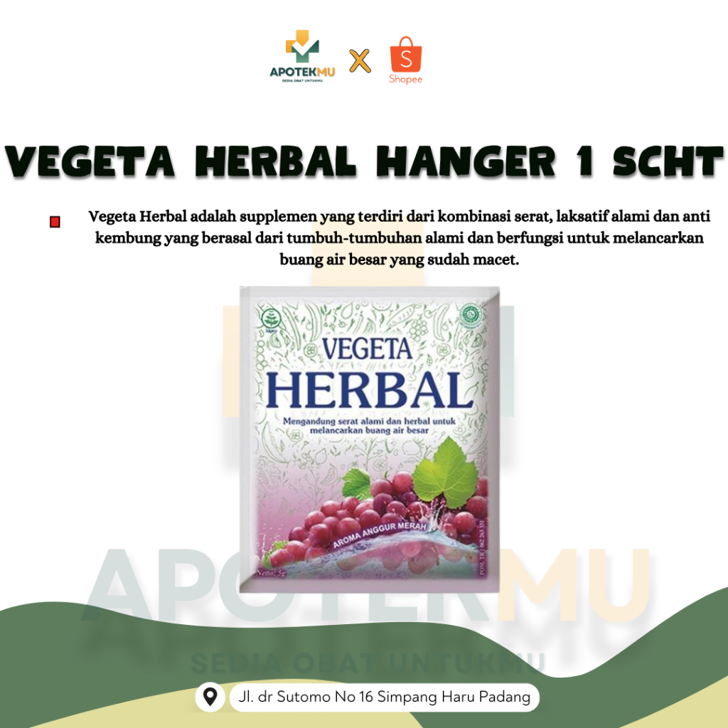 VEGETA HERBAL HANGER 1 SCHT