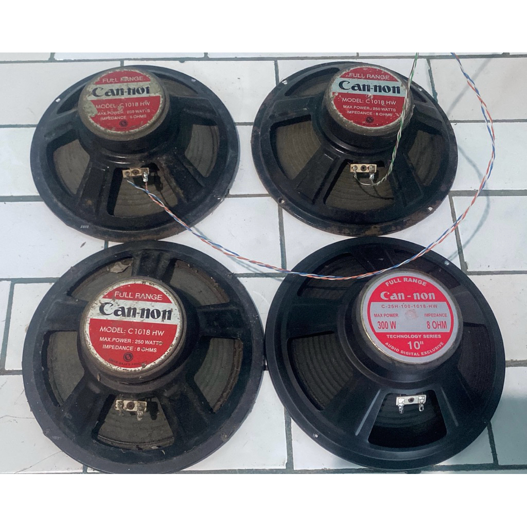 Speaker Canon 10 inch Full Range Bekas
