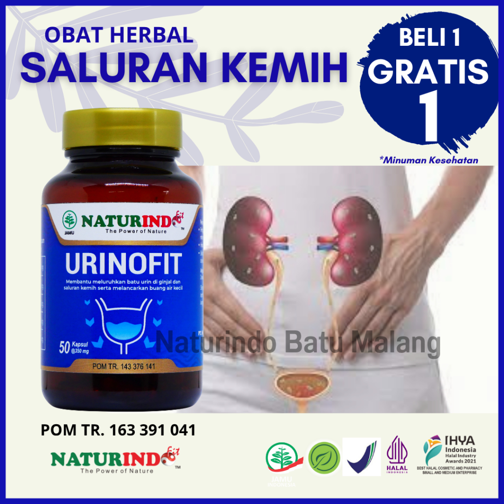 NATURINDO URINOFIT Obat Herbal Infeksi Saluran Kencing Batu Ginjal Bocor Infeksi Saluran Kemih Kenci