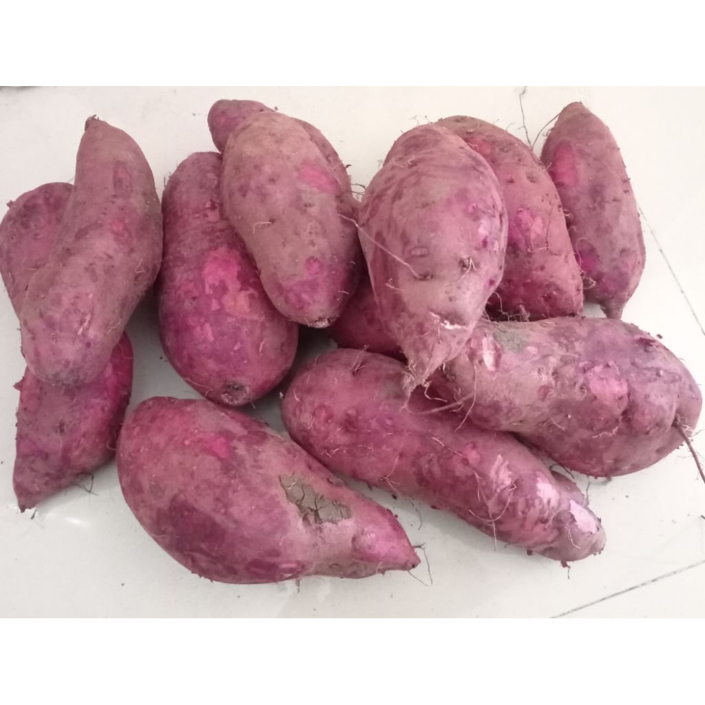 Ubi Ungu Per 1kg Murasaki/TW