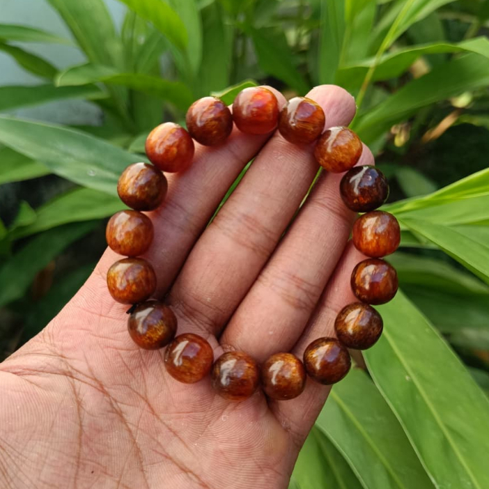 Gelang Akar Bahar Tali Arus Kuning Emas Dim 12mm Asli Berkualitas/Gelang Akar Bahar/Akar Bahar Asli