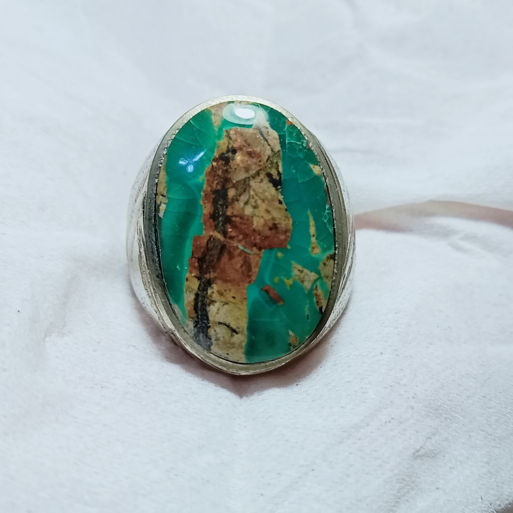 pirus Persia hijau gradasi