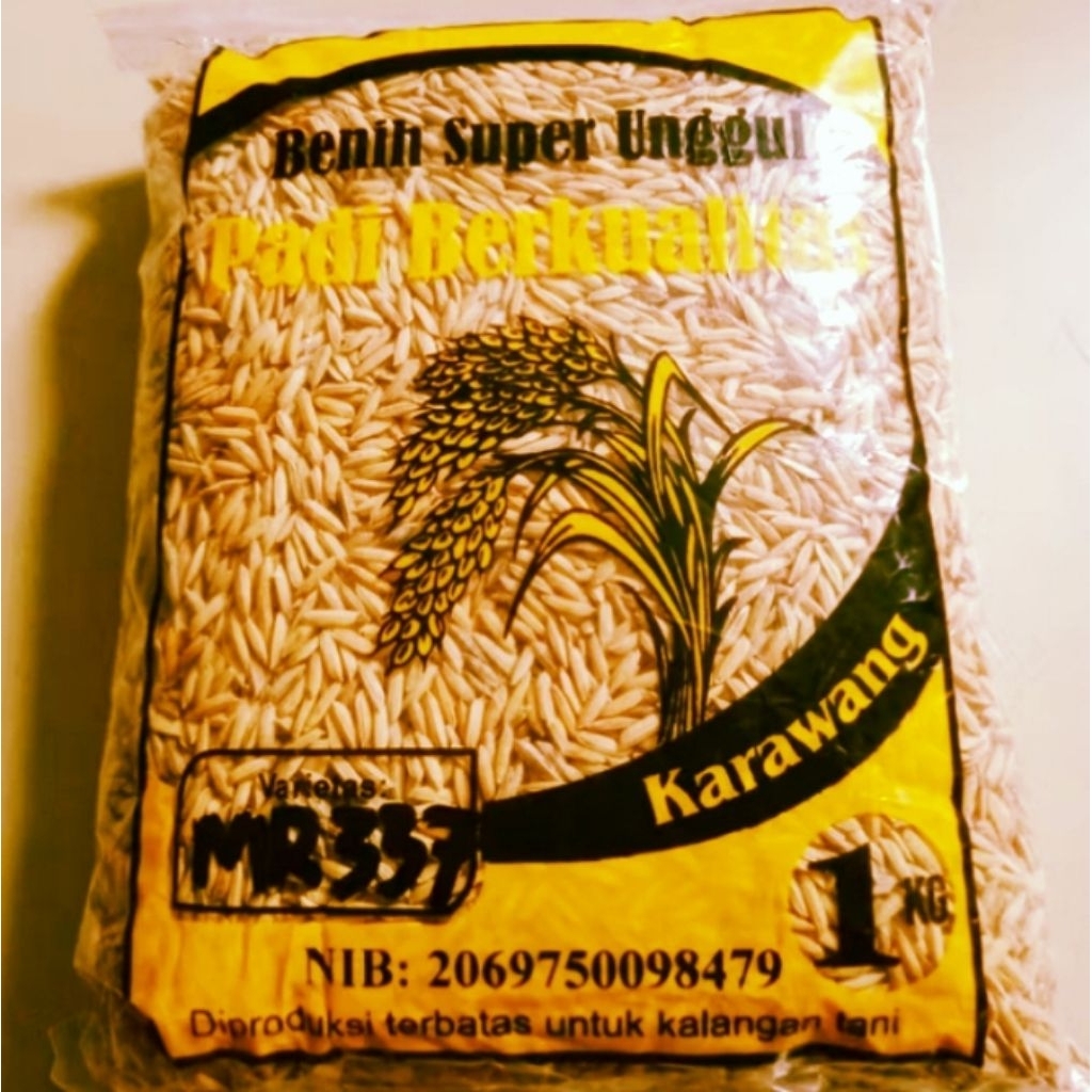 benih padi super unggul 1kg