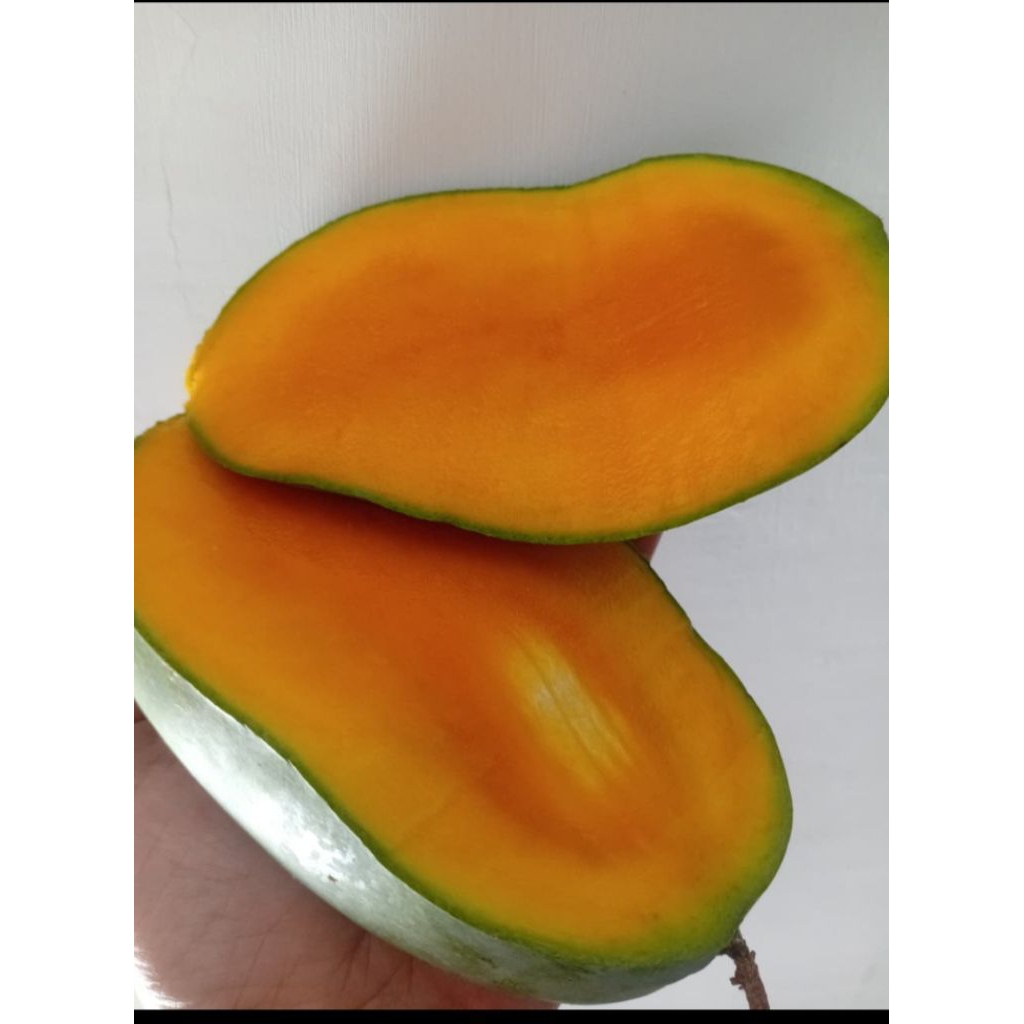 mangga gadung 1 kg