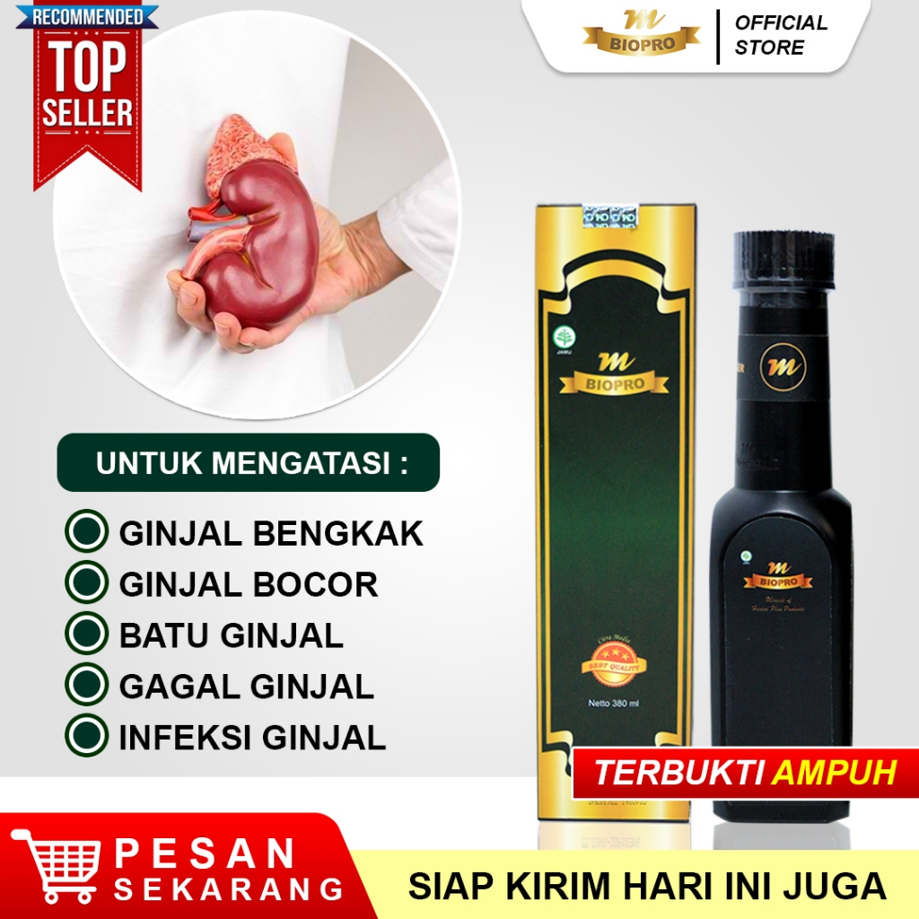 Obat Ginjal Paling Ampuh, Ginjal Bengkak, Ginjal Bocor, Ginjal Kronis, Kista Ginjal, Gagal Ginjal Ta