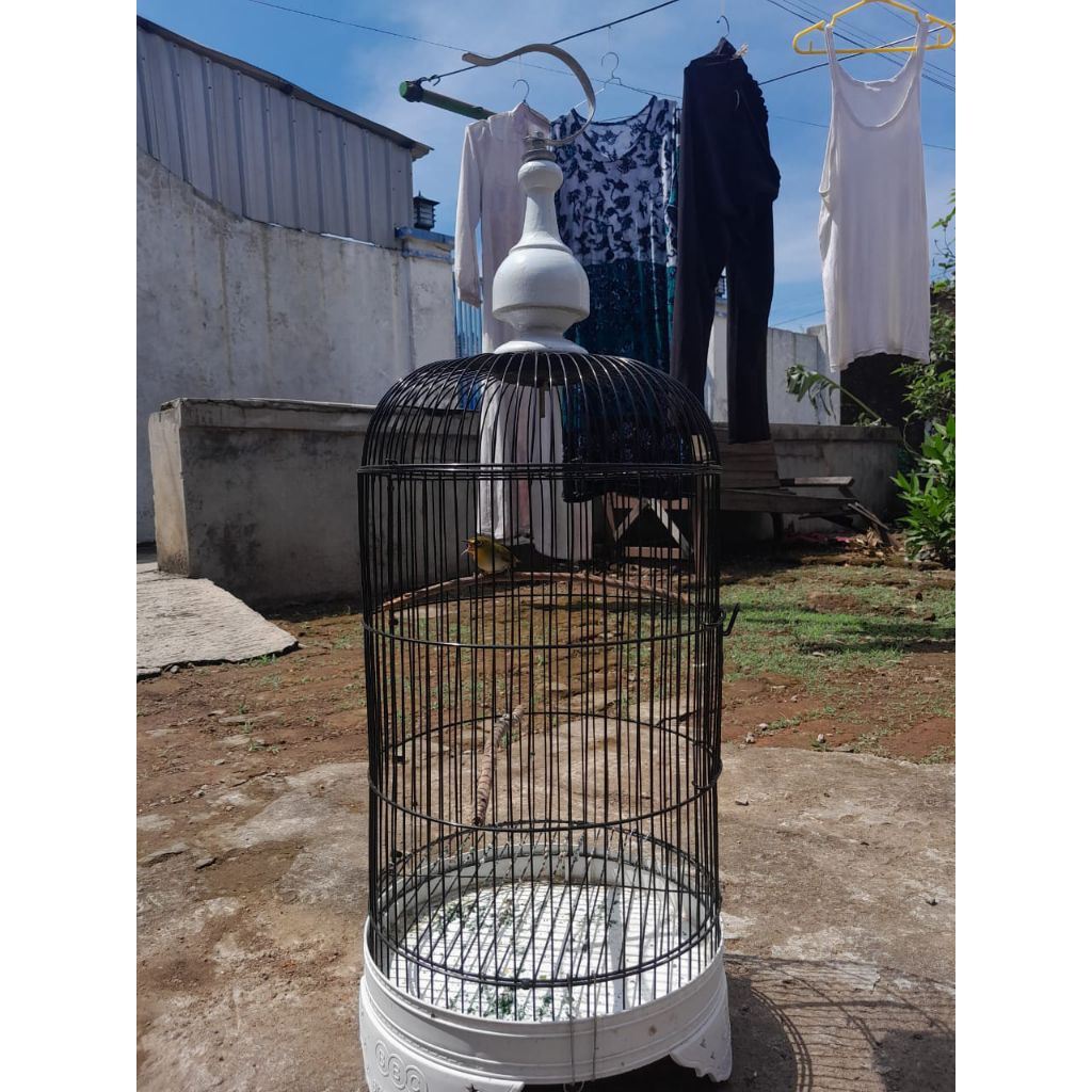 sangkar burung kecil, cocok buat pleci, ciblek dll