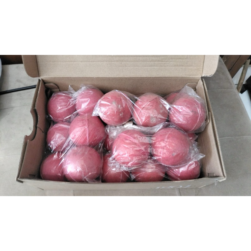 Bola Kasti Merah (20 pcs)