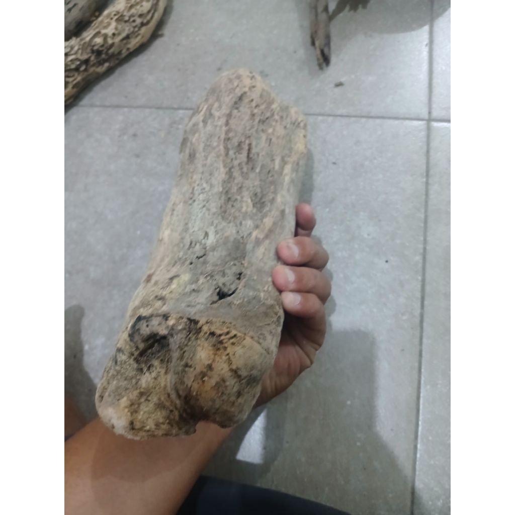 Hiding Cave Reptile Kayu alami