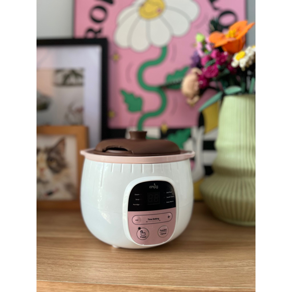 [PRELOVED] Emily Slow Cooker & Steamer