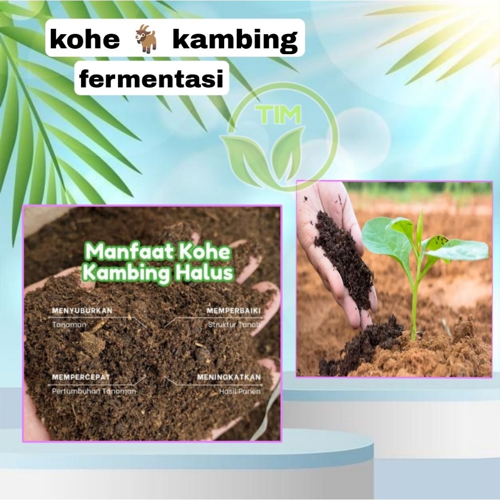 KOHE KAMBING 1kg LEMBUT FERMENTASI