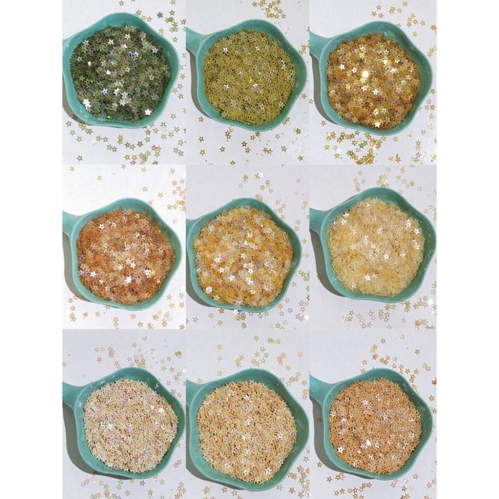 Payet Piringan/Sequin Bintang