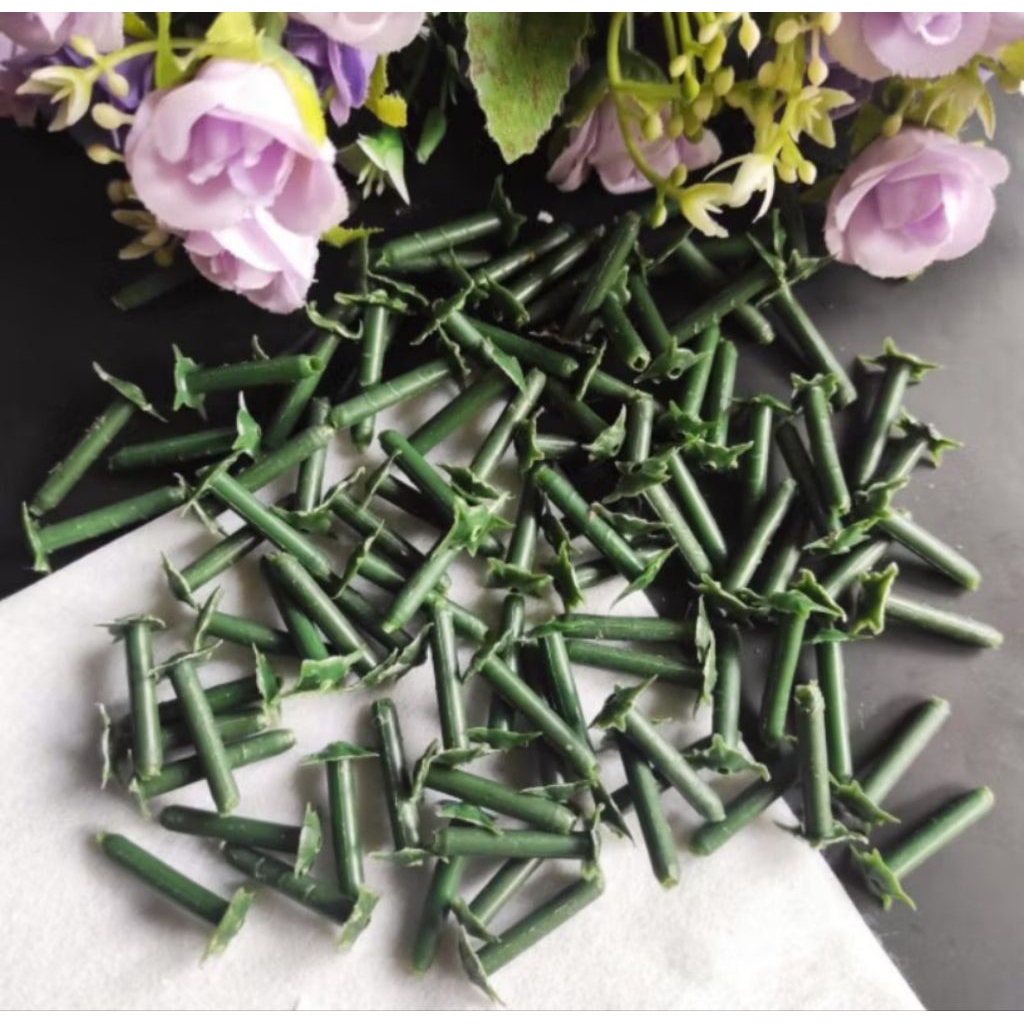 Putik Tangkai Plastik 100 pcs Paku Suyok Plastik Tangkai Bunga Paku Bunga Papan  Suyok