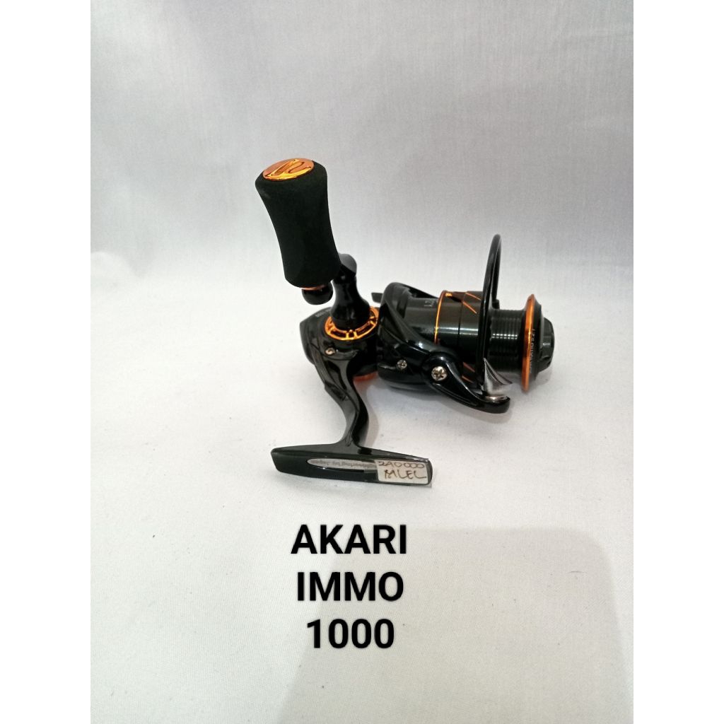 AKARI IMMO 1000