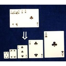 Size Surprise Sulap MAGIC