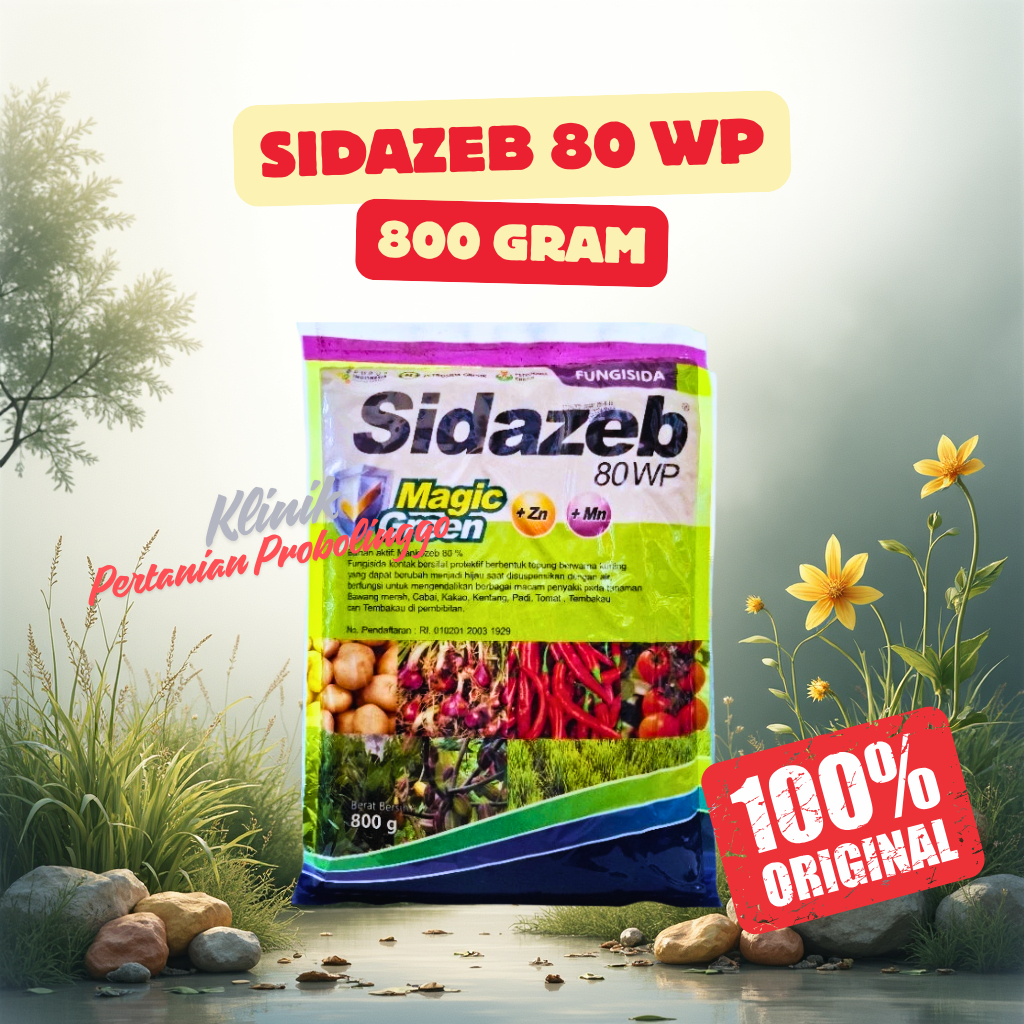 SIDAZEB 80WP 800GR | Fungisida Efektif Lawan Jamur + Magic Green Zn & Mn