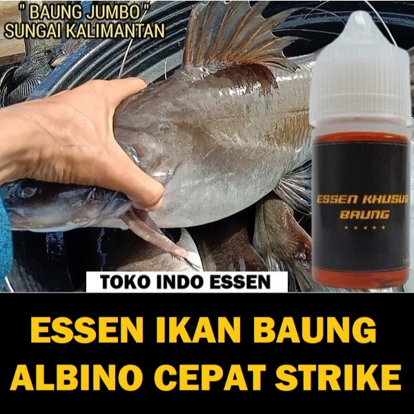 ESSEN IKAN BAUNG ALBINO PALING GACOR CEPAT STRIKE ISI 30ML