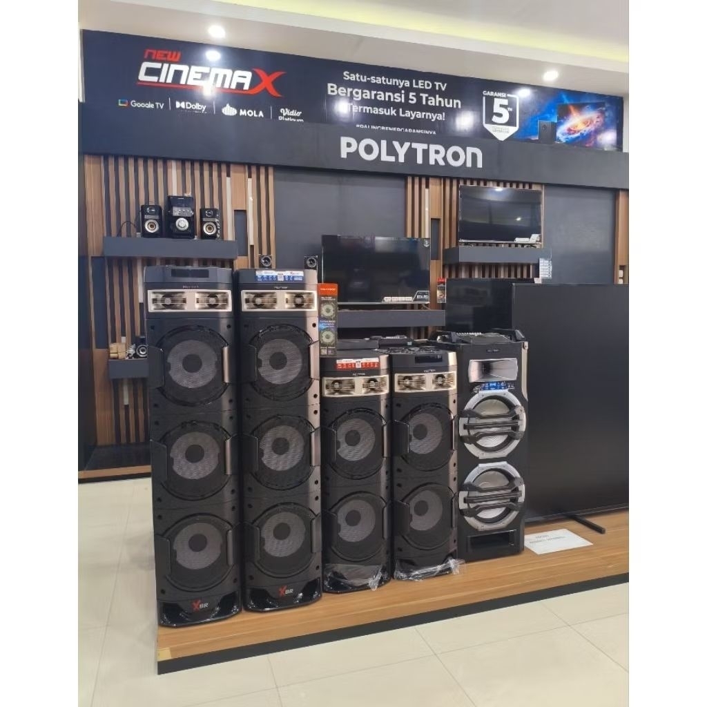 POLYTRON 10 Inch PAS 10DF38