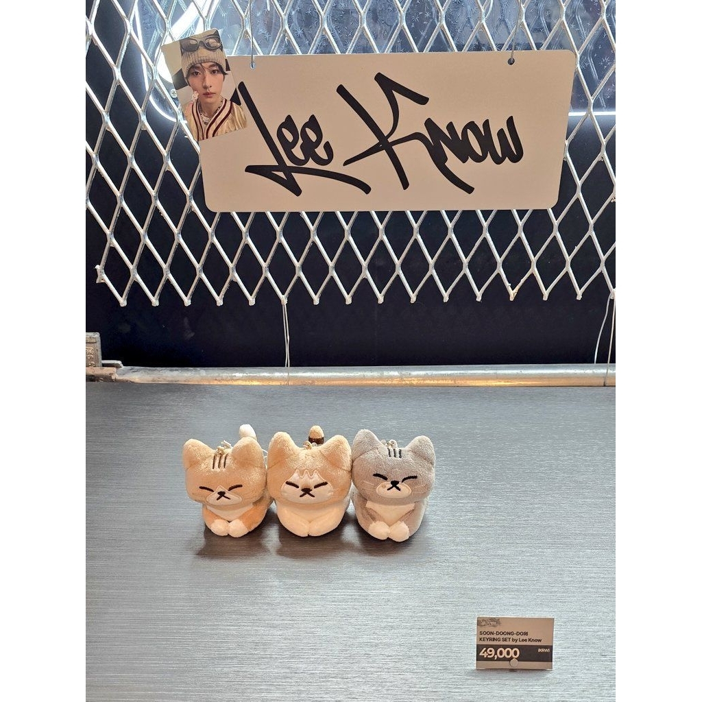 STRAY KIDS dominATE celebrATE