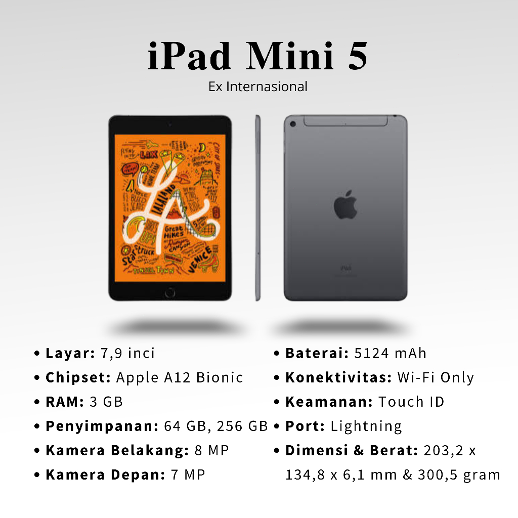 COD iPad Apple Mini 5 WIFIONLY 64GB 256GB Second Original Inter BIsa COD