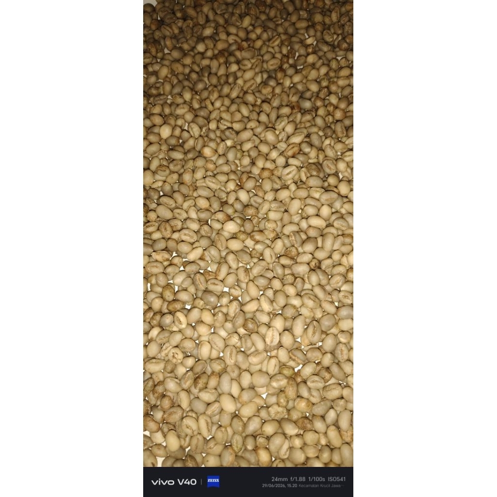 KOPI LANANG GREENBEAN ROBUSTA 100% ASLI