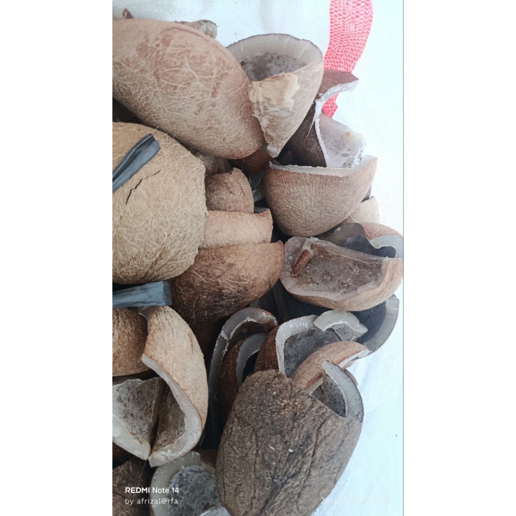 kelapa kering-kopra-kropak kelapa berat 1kg