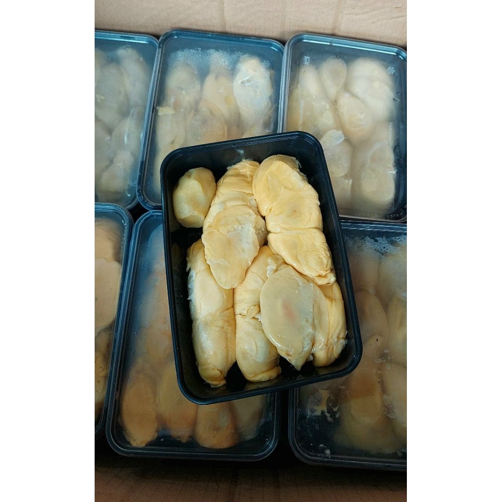 durian nias sumatra. durian nias premium manis mantap.