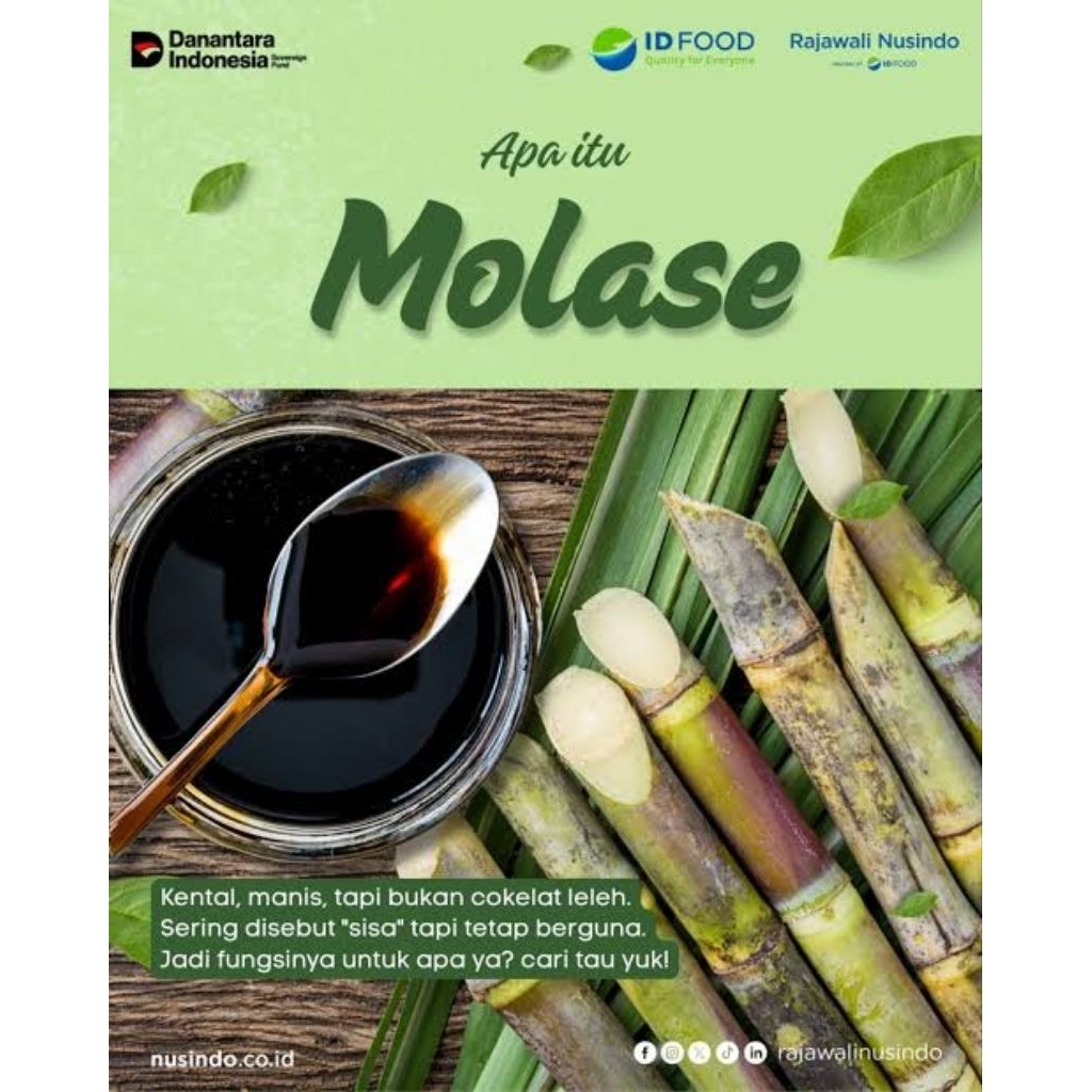 MOLASE TETES TEBU