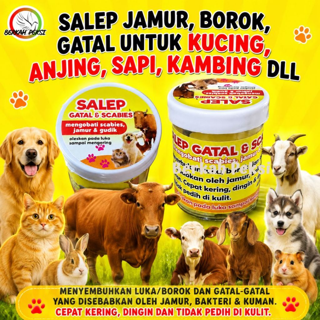 SALEP KUCING ANJING KELINCI SAPI KAMBING OBATI BOROK LUKA JAMUR LUKA BASAH LUKA CAKAR GIGITAN ROBEK