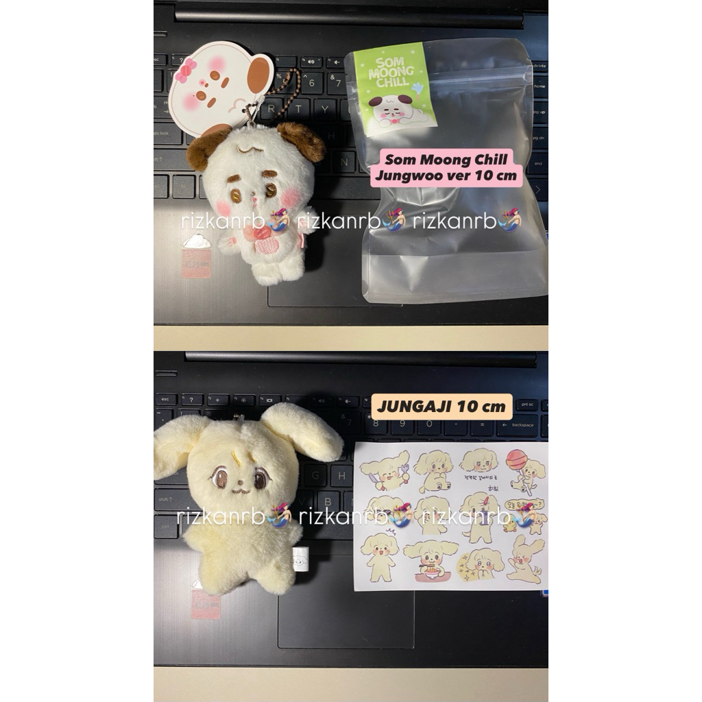 Doll Jungwoo NCT 127 10cm
