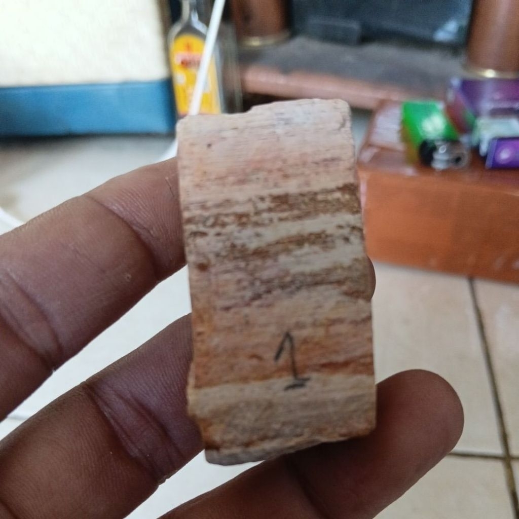 BATU FOSIL KELOR MERAH BISA MENYALA TESPEN