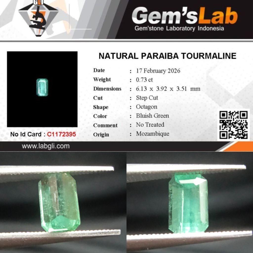 0,73 cts Natural Paraiba Tourmaline origin Mozambique No Treatment Memo GLI