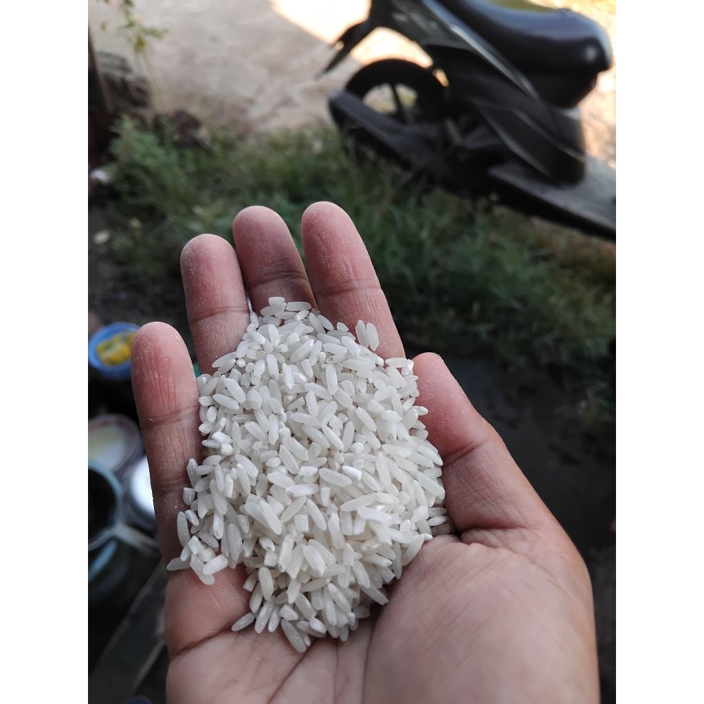 Beras 5 kilo