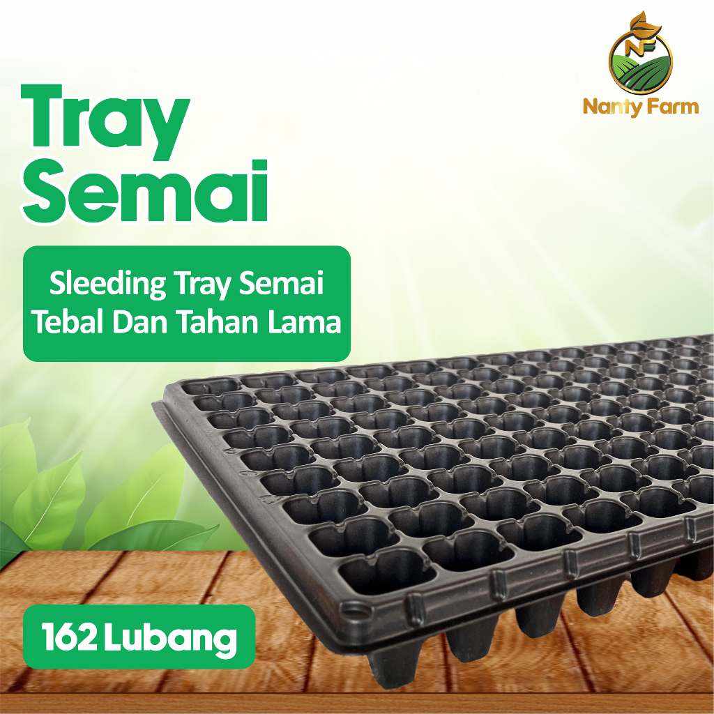 Tray Semai 162 Lubang Traypot Pot Bibit Tray Biji - Tray Semai 162 Lubang