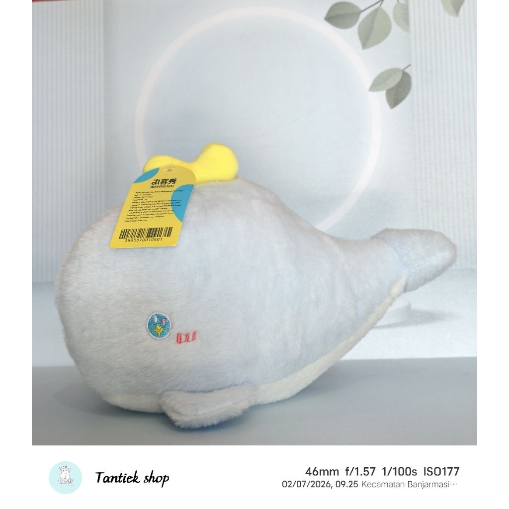 Boneka Paus Biru Cute