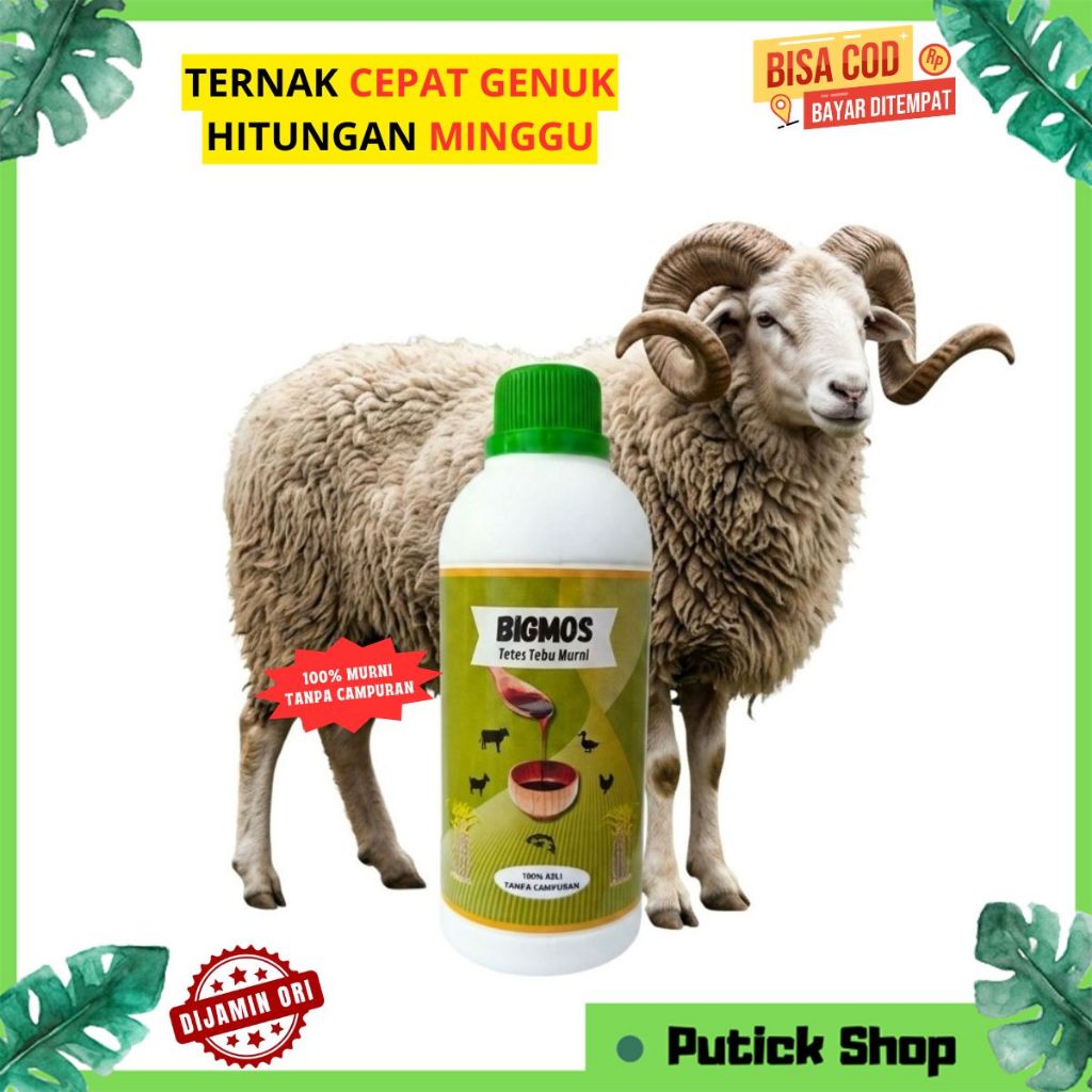BIGMOS Penggemuk Kambing Domba Molase Tetes Tebu Penambah Nafsu Makan Hewan Ternak Kambing Sapi