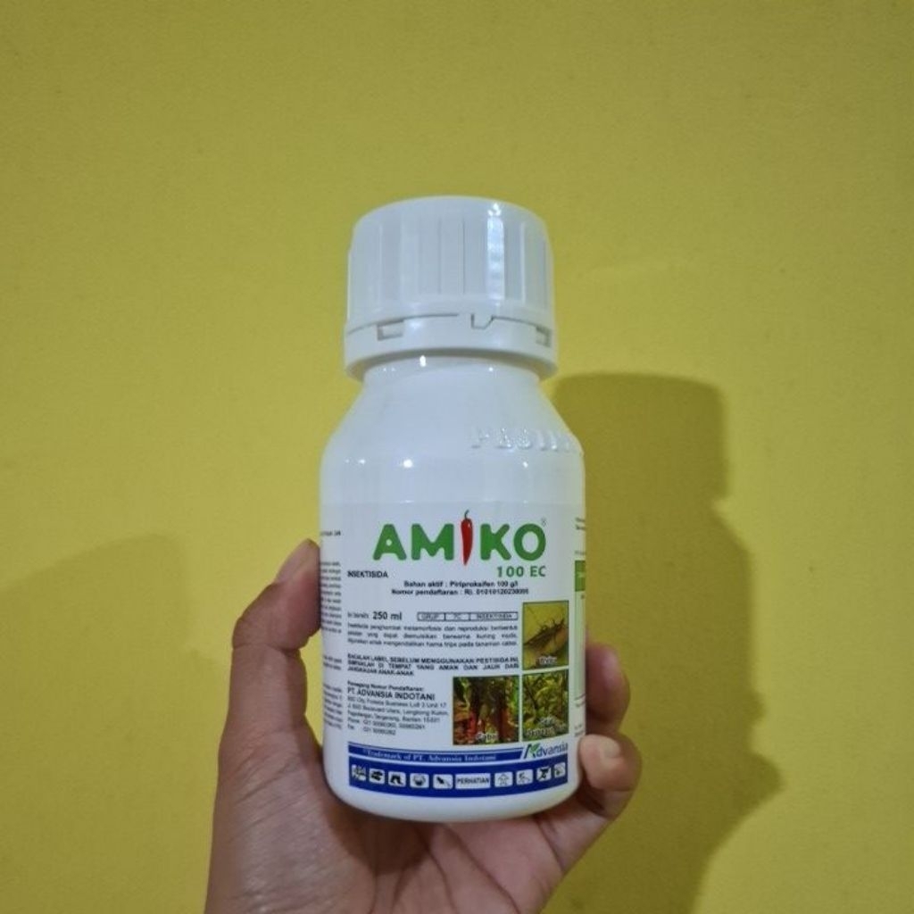Amiko