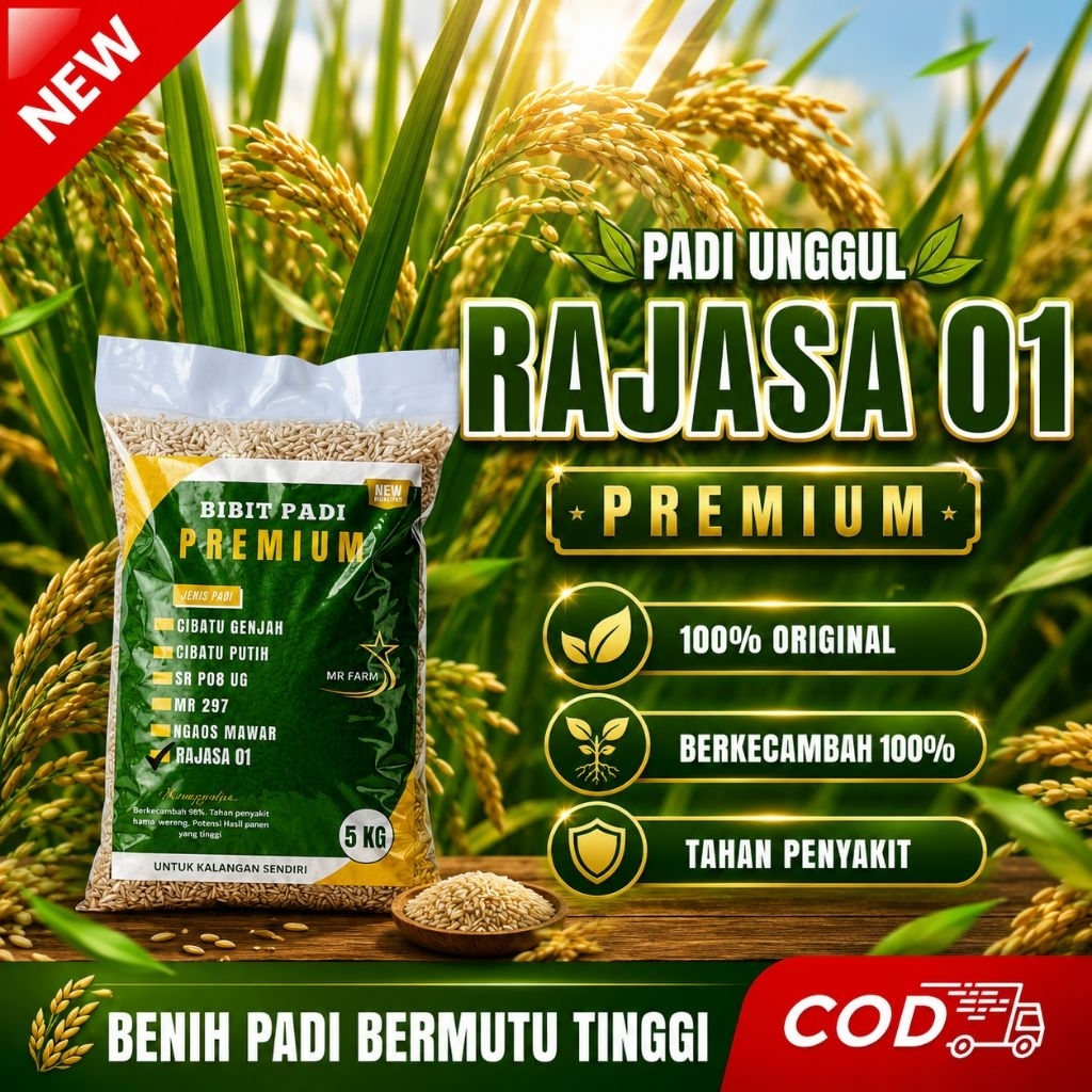 Benih padi unggul RAJASA 01 kemasan 5kg original