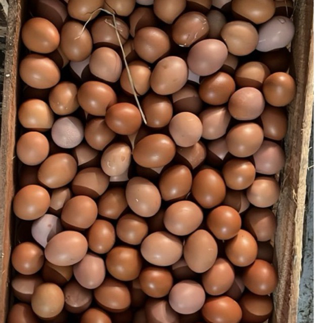 TELUR AYAM 15kg PLUS KRAT